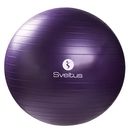 Ballon de gymnastique Sveltus Ballon de gymnastique Sveltus