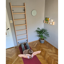 BenchK wall bars system 111+A204 BenchK wall bars system 111+A204