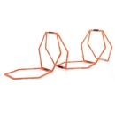 Sveltus Directeur de la formation