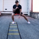 Scala di coordinamento Sveltus