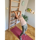 BenchK wall bars system 100 BenchK wall bars system 100