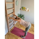 BenchK wall bars system 100