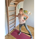 BenchK Sprossenwand System 111 BenchK Sprossenwand System 111