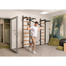 BenchK Sprossenwand System 221B BenchK Sprossenwand System 221B