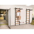 BenchK Sprossenwand System 221B