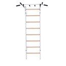 BenchK Sprossenwand System 221W BenchK Sprossenwand System 221W