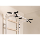 BenchK wall bars system 221W