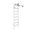 BenchK Sprossenwand System 231W BenchK Sprossenwand System 231W