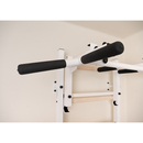 BenchK wall bars system 232W