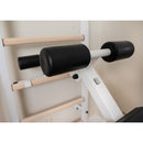 BenchK wall bars system 233W