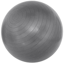 TheraBand ABS ballon de gymnastique argenté (85 cm) TheraBand ABS ballon de gymnastique argenté (85 cm)