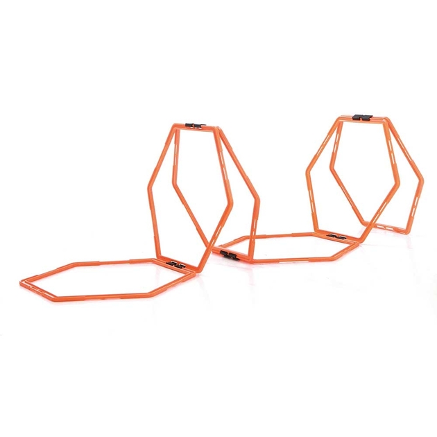 Sveltus Directeur de la formation Sveltus Directeur de la formation