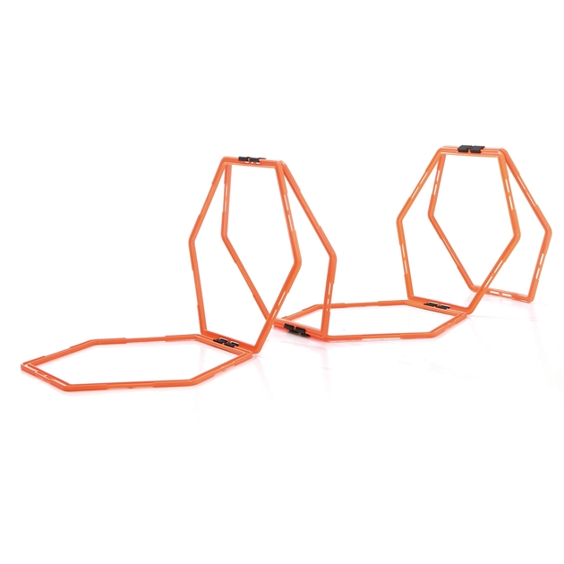 Sveltus Directeur de la formation Sveltus Directeur de la formation