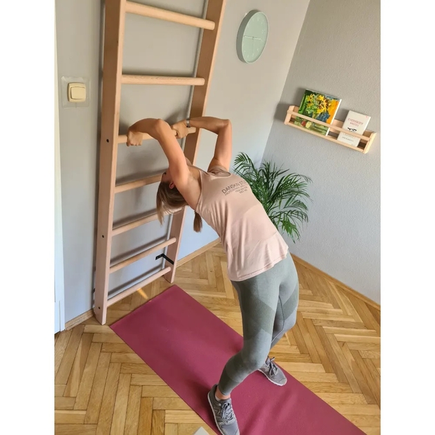 BenchK Sprossenwand System 112