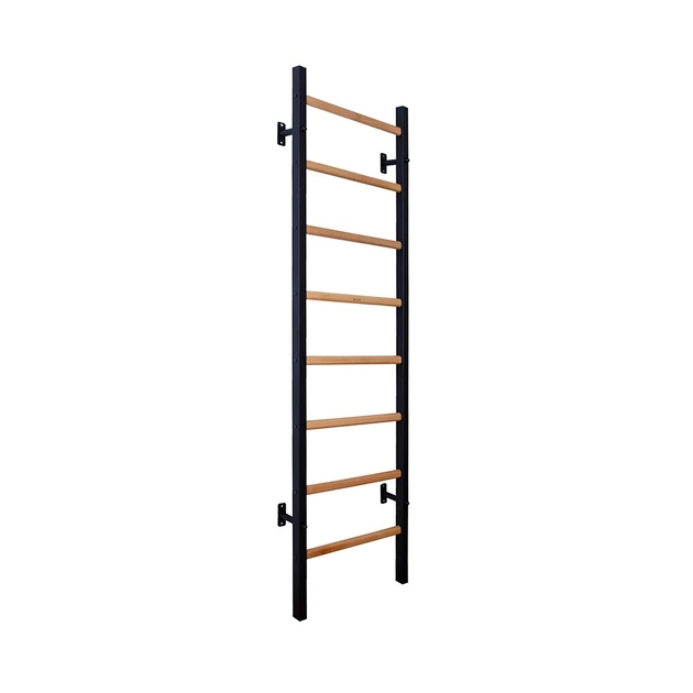 BenchK Sprossenwand System 200B