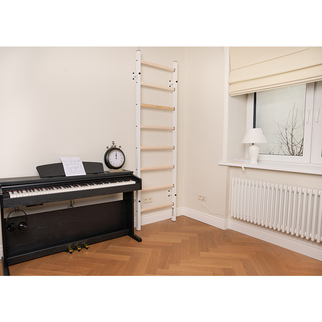 BenchK Sprossenwand System 200W