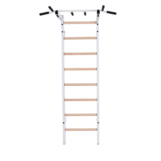 BenchK Sprossenwand System 221W BenchK Sprossenwand System 221W