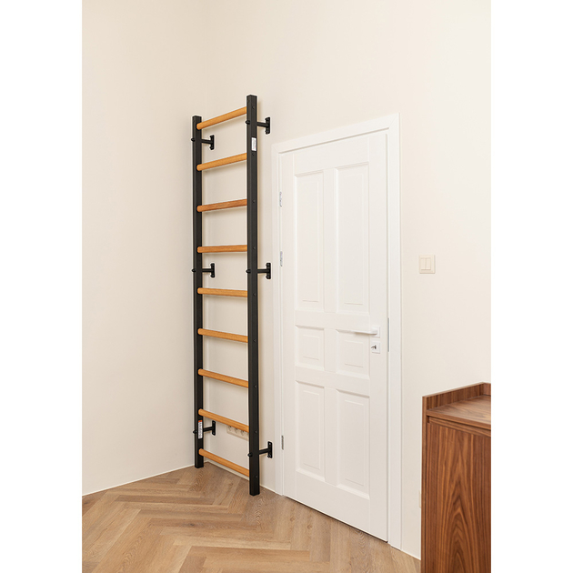 BenchK Sprossenwand 700B