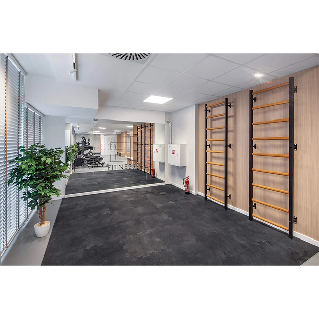 BenchK Sprossenwand 700B