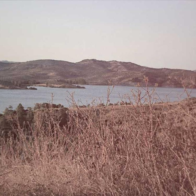 Text And Image
