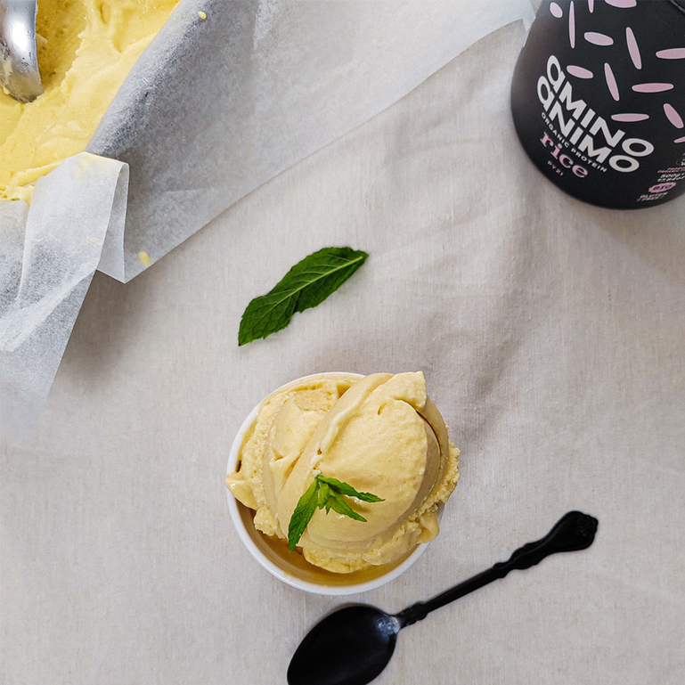 Mango Sorbet mit AMINO ANIMO Reisprotein
